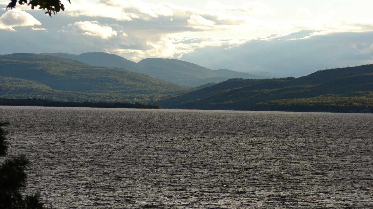 Photo of Others in Malletts Bay