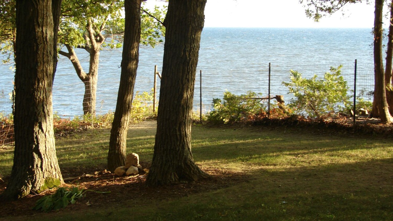 Photo of Outdoor in Malletts Bay
