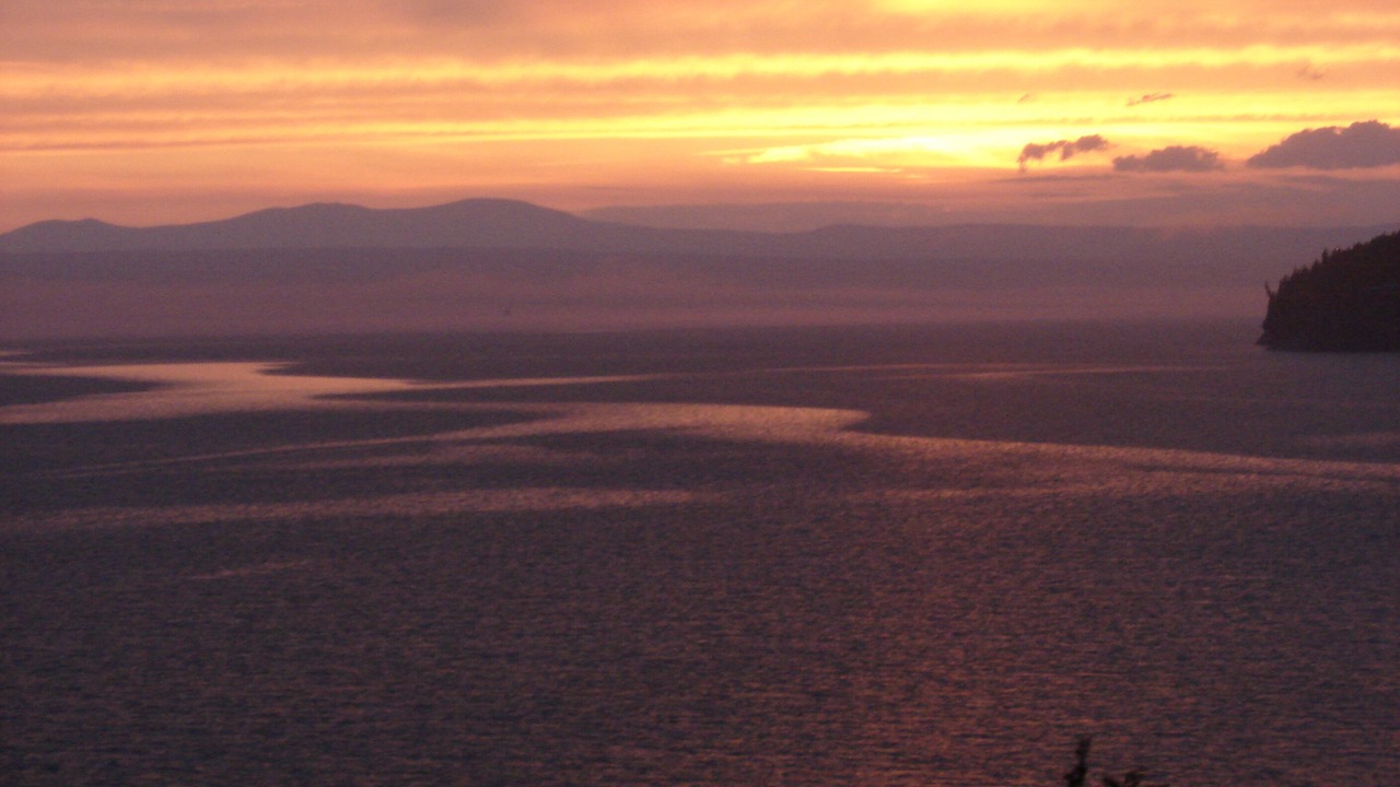 Photo of Others in Malletts Bay