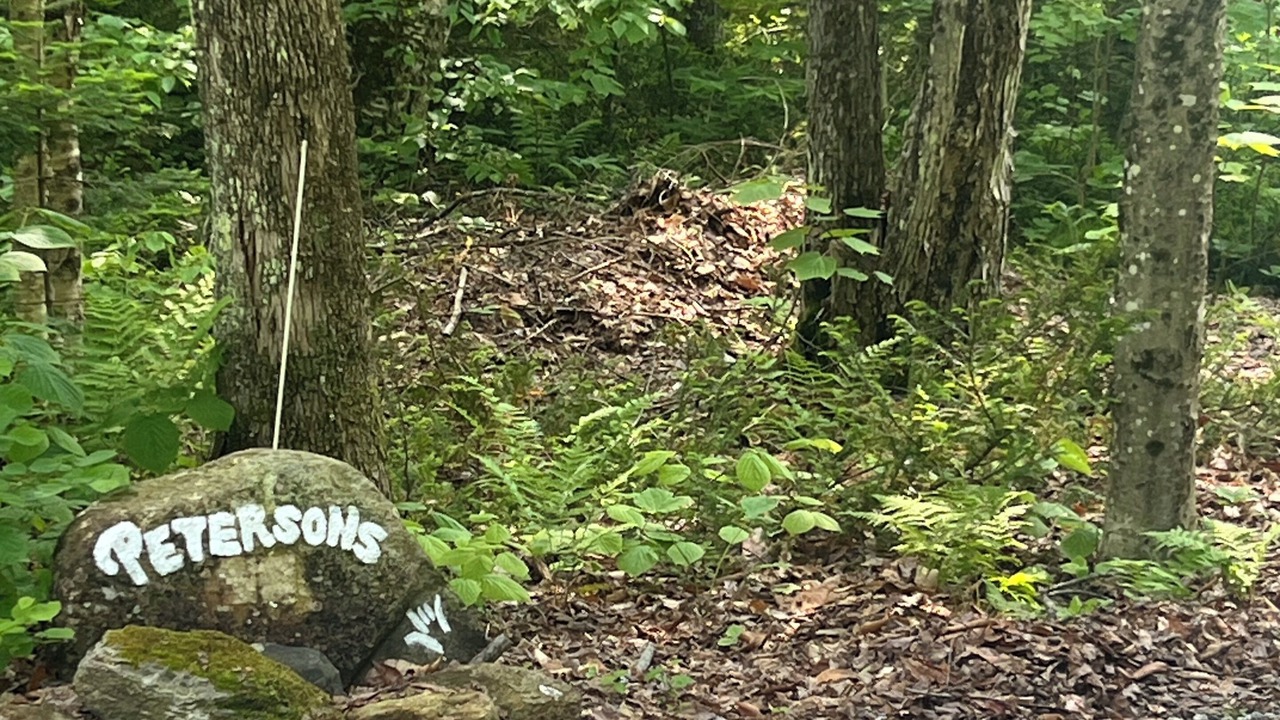 Photo of Outdoor in Warren