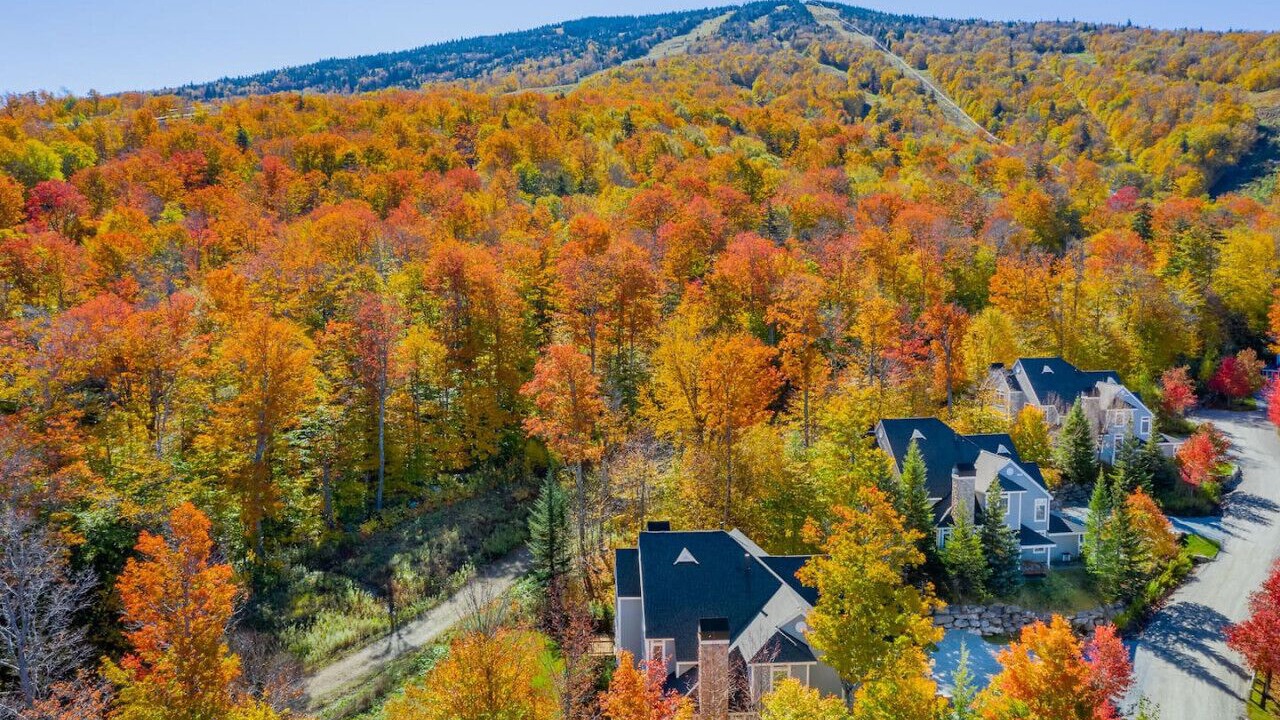 Photo of Outdoor in Stratton Mountain