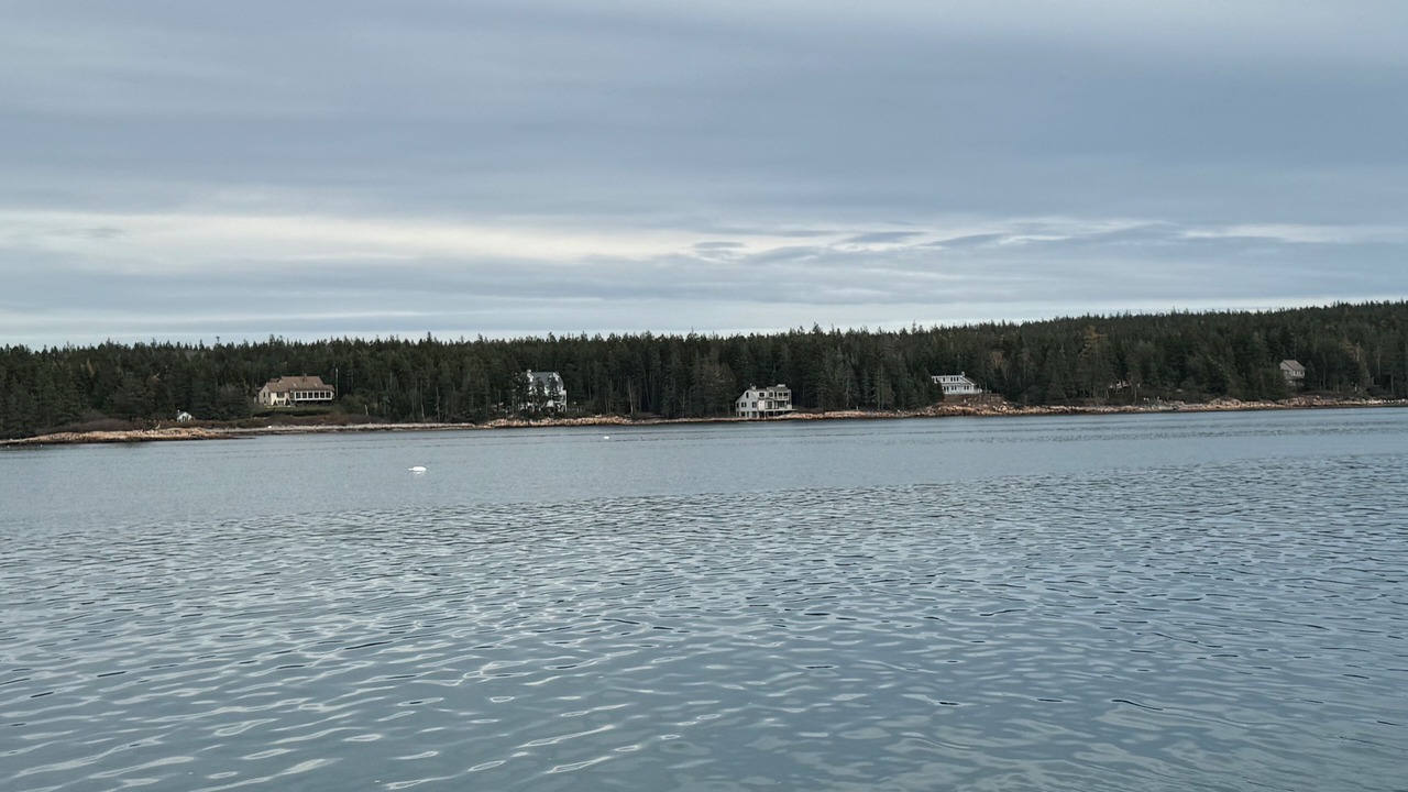 Photo of Others in Winter Harbor