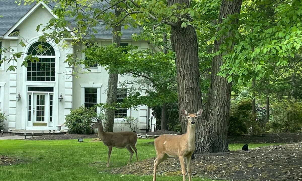 Photo of Outdoor in Tabernacle