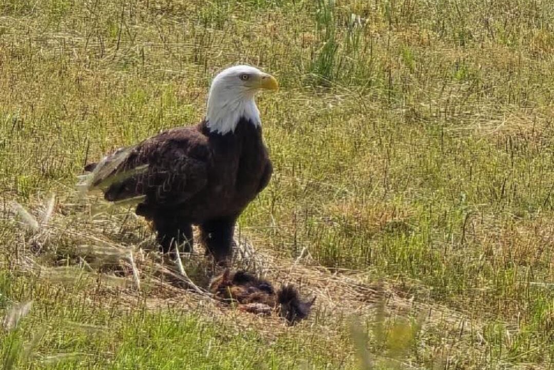 Photo of Others in Salem