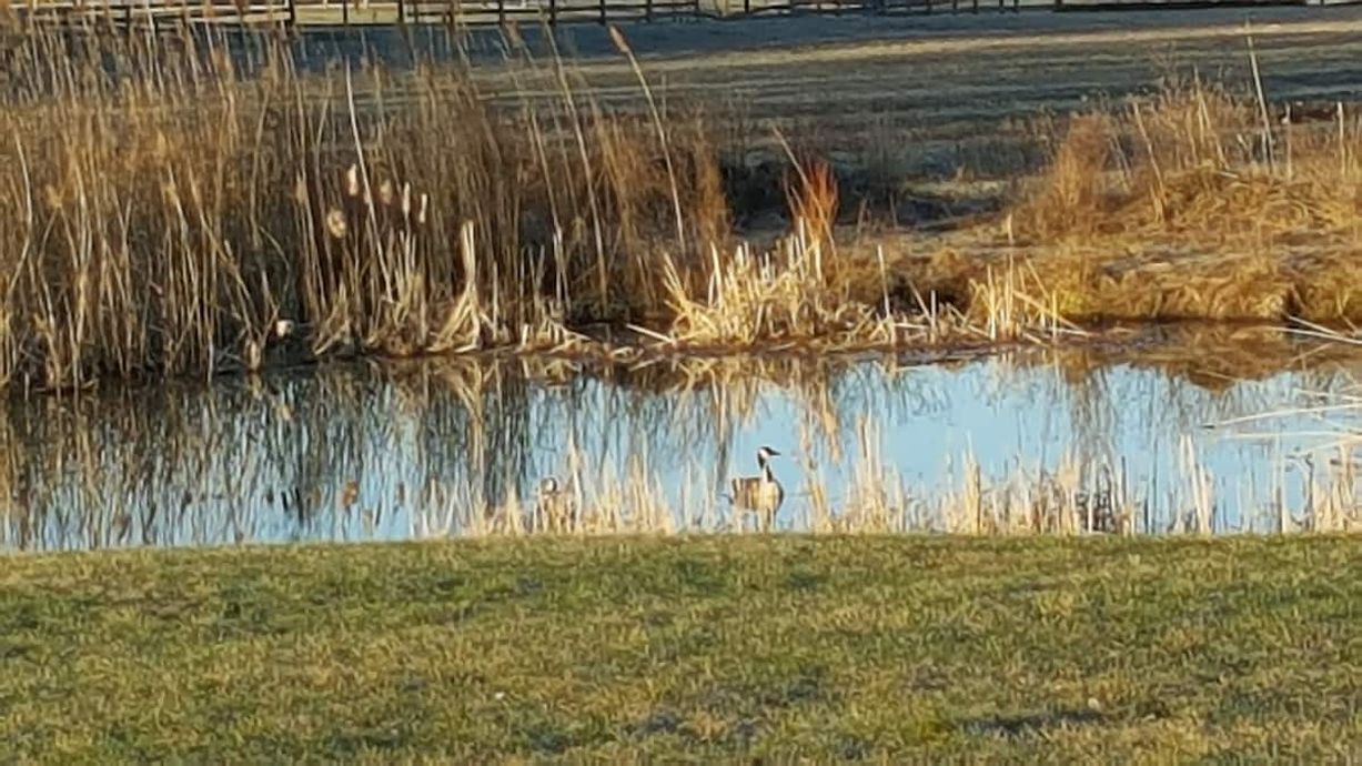 Photo of Others in Valatie