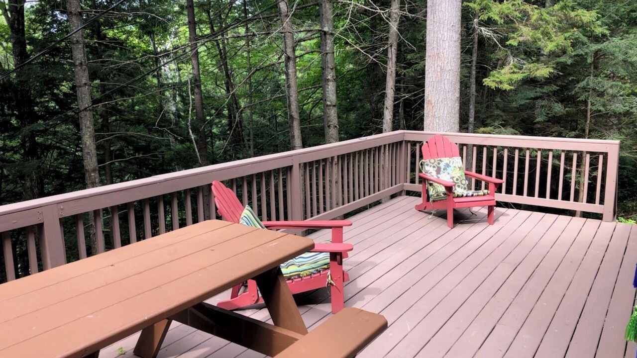 Photo of Outdoor in Intervale