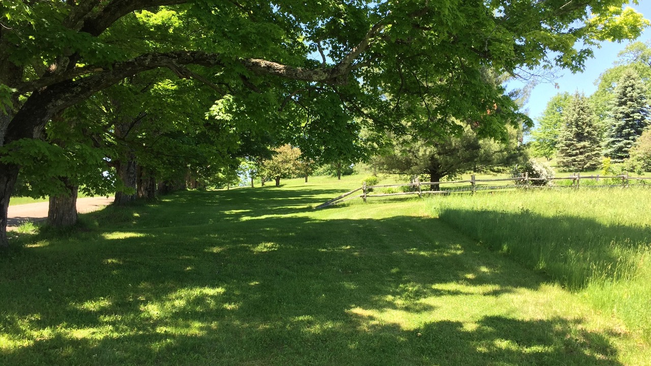Photo of Outdoor in Orleans