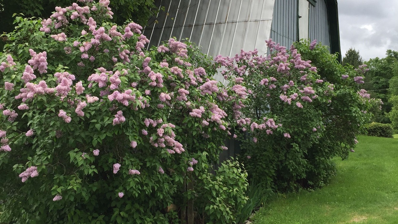 Photo of Outdoor in Orleans
