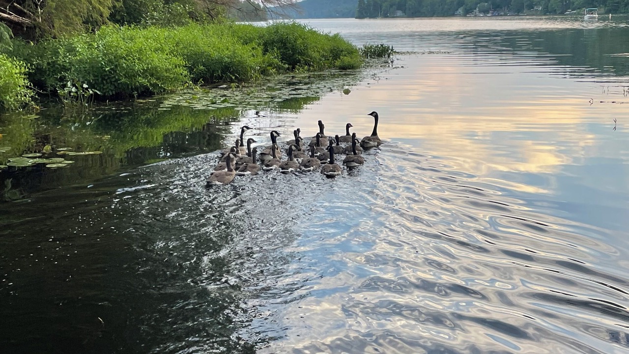 Photo of Others in Poultney