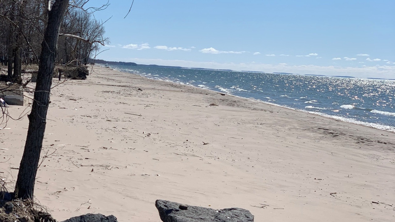 Photo of Others in Henderson