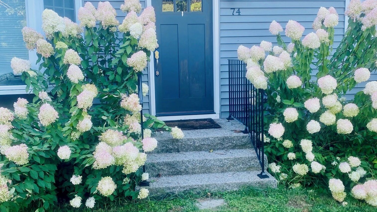 Photo of Outdoor in West Kennebunk