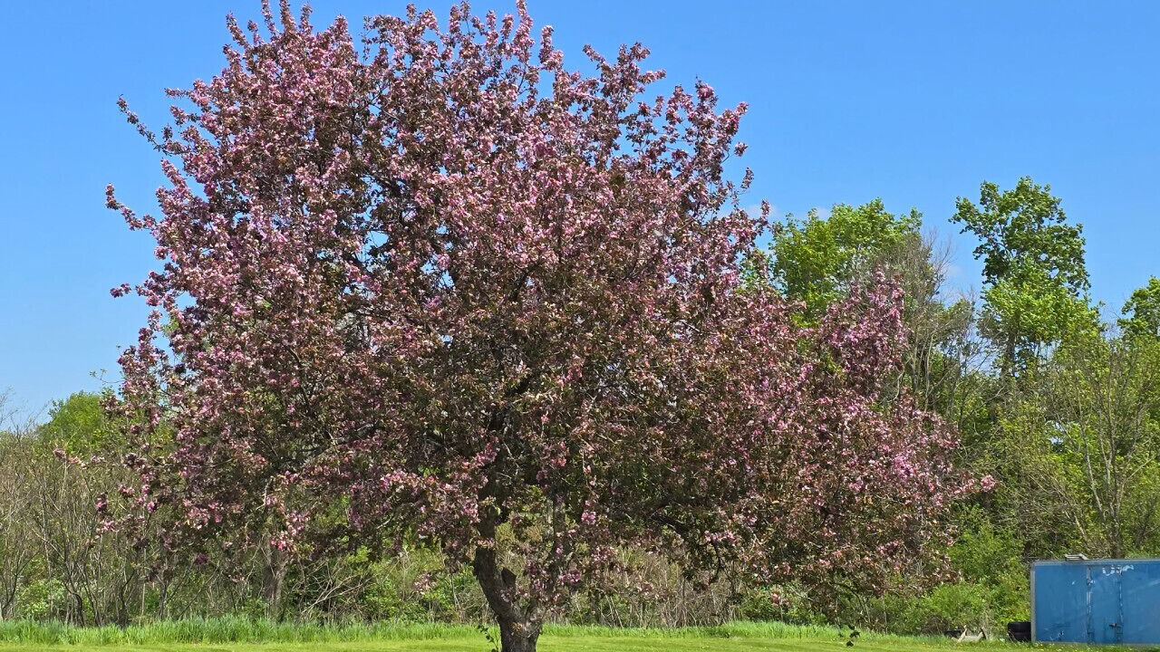 Photo of Others in South Burlington