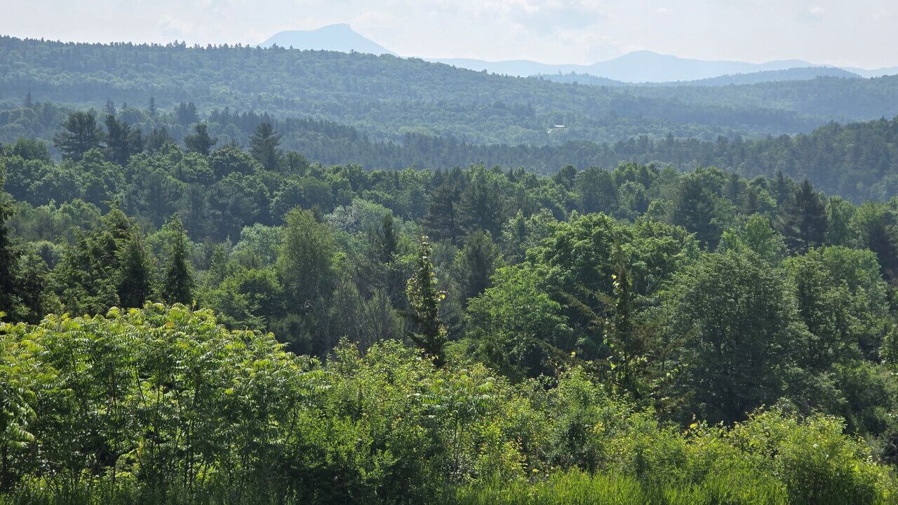 Photo of Others in South Burlington