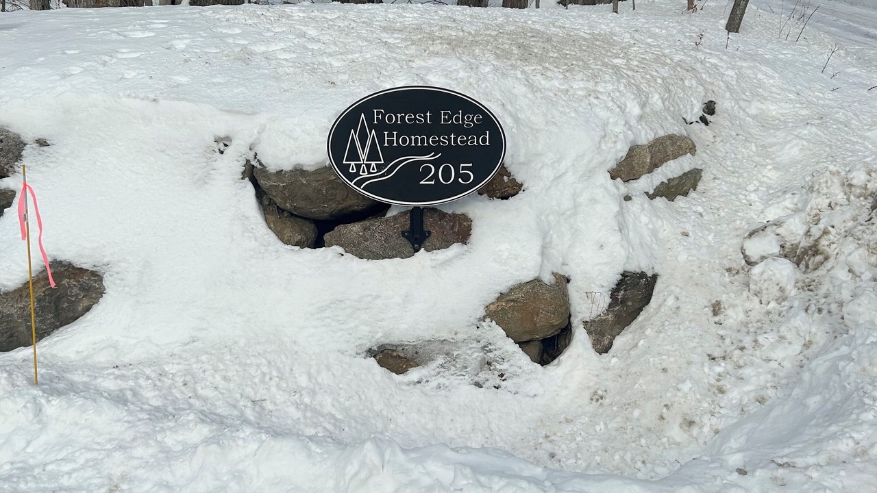 Photo of Outdoor in Intervale