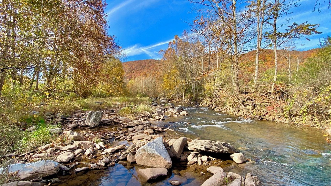 Photo of Others in Seneca Rocks