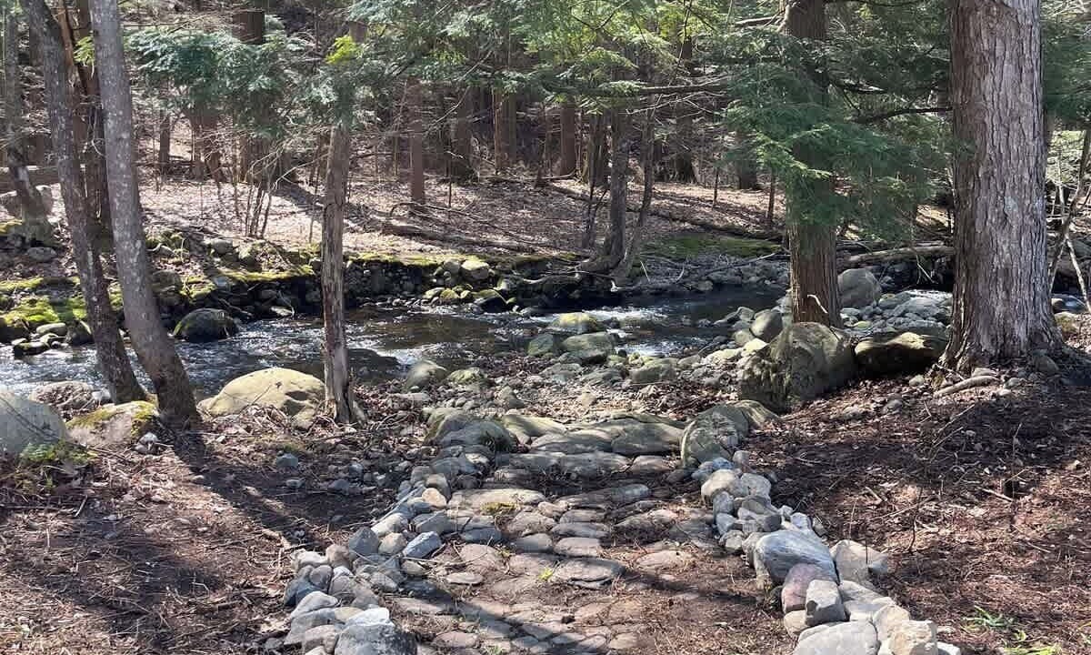 Photo of Others in Northville