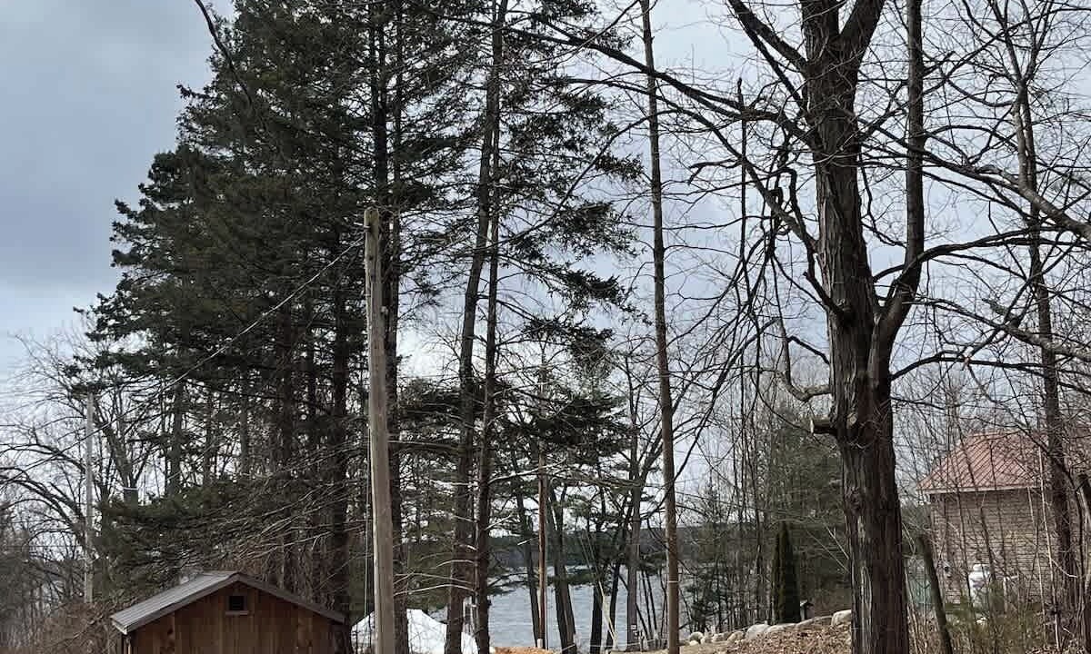 Photo of Others in Northville