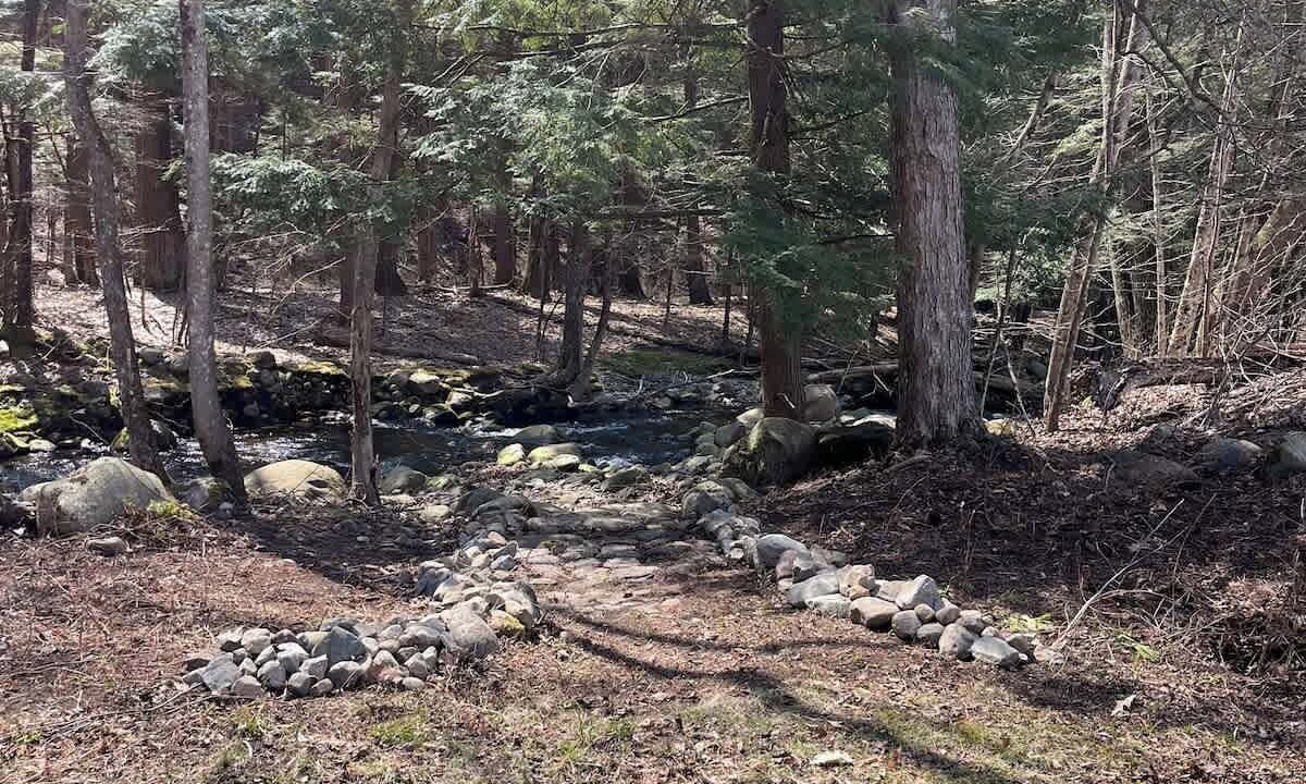 Photo of Others in Northville