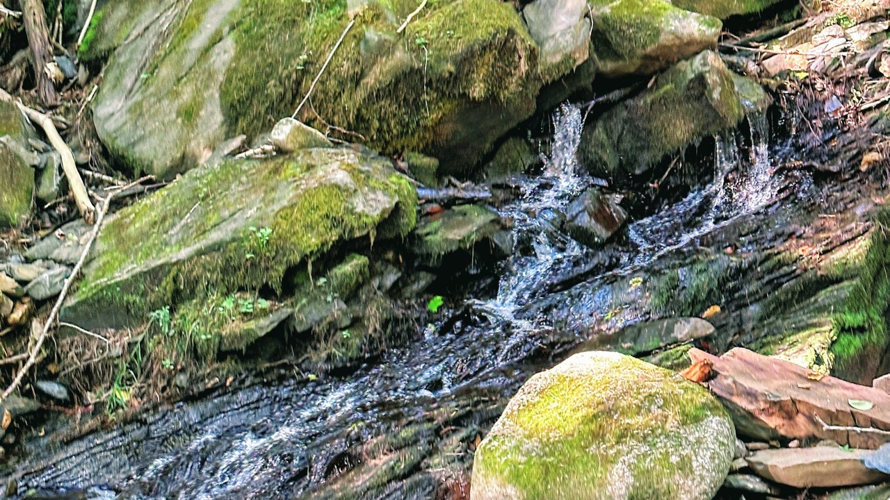 Photo of Others in Eastern Vermont