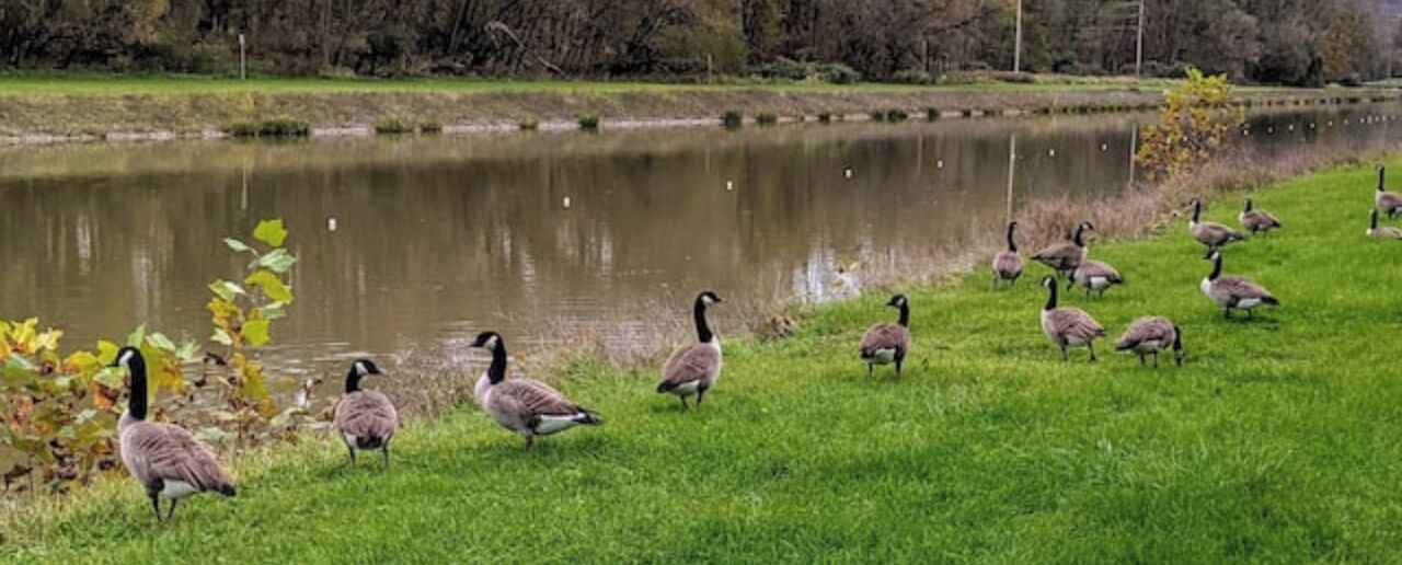 Photo of Others in Ithaca