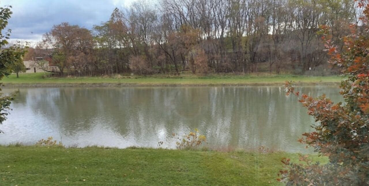 Photo of Others in Ithaca