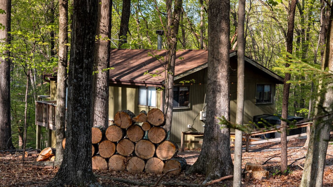 Photo of Outdoor in The Woods