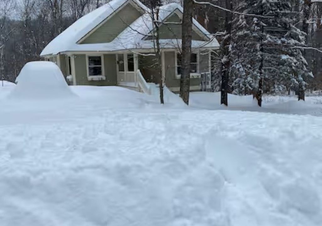 Photo of Outdoor in Williamsville