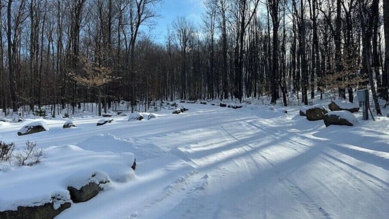 Photo of Others in Keene