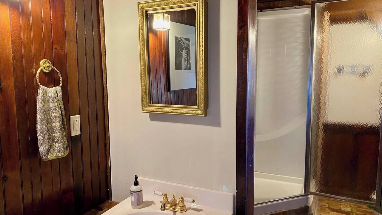 Photo of Bathroom in Hector