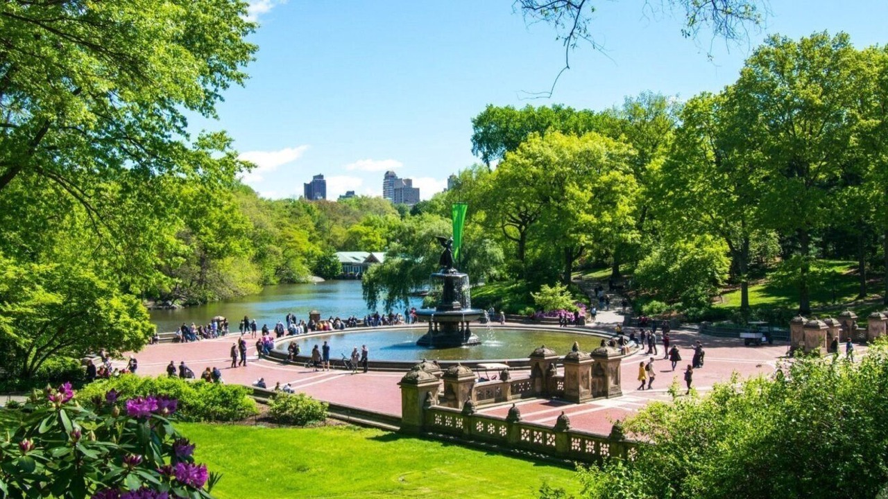 Photo of Others in Sutton Place