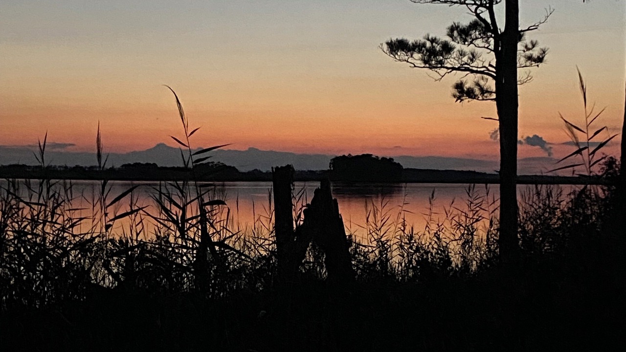 Photo of Others in Fishing Creek