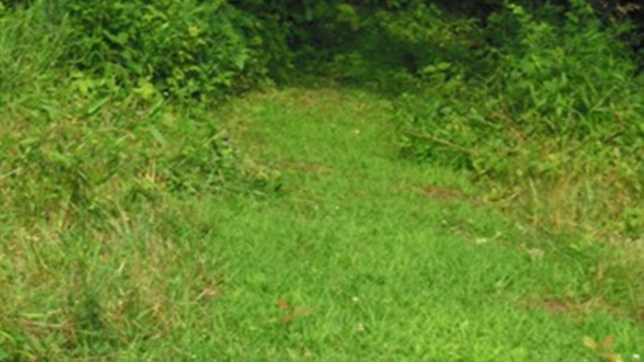 Photo of Others in Dellroy