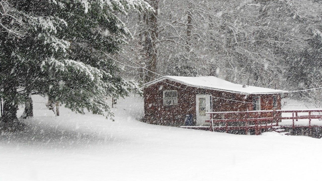 Photo of Outdoor in Dellroy