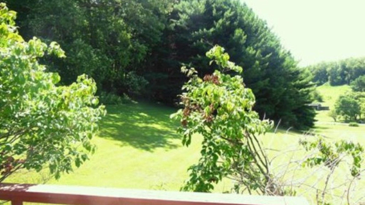 Photo of Others in Dellroy
