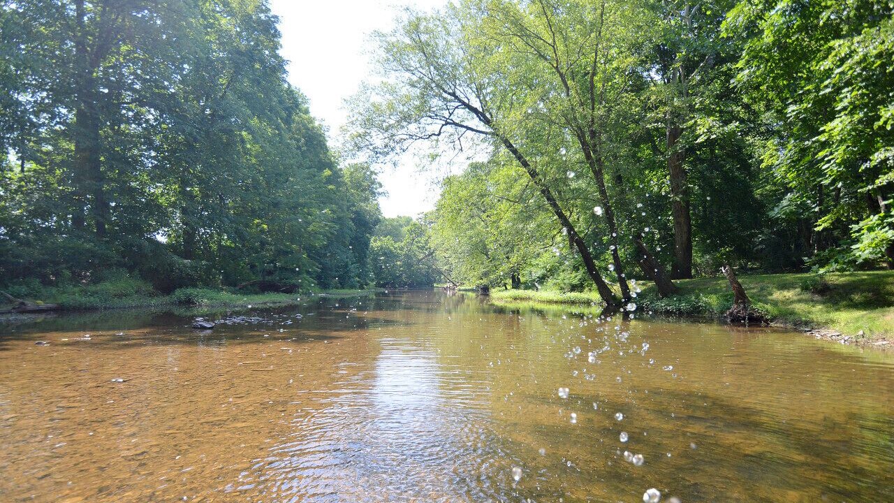 Photo of Others in Berkeley Springs