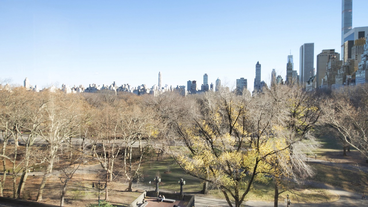 Photo of Others in Central Park South