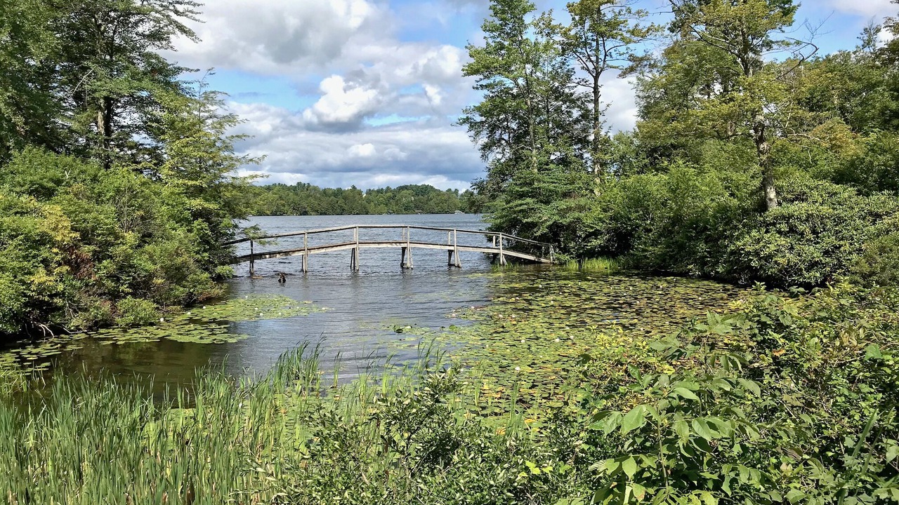 Photo of Outdoor in Eagles Mere