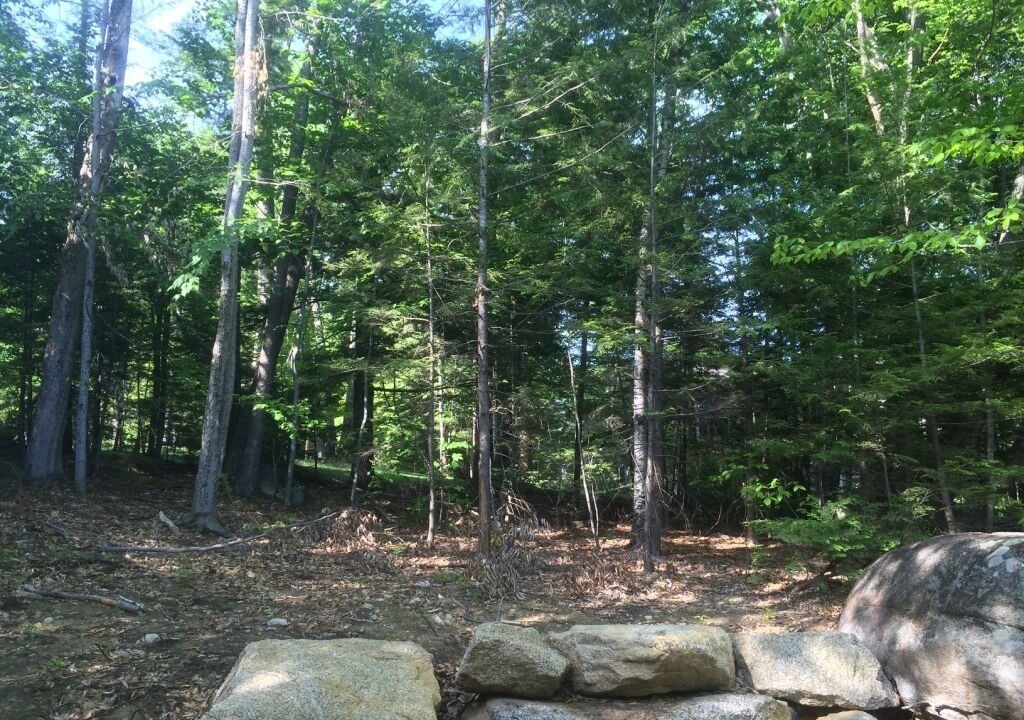 Photo of Outdoor in North Conway