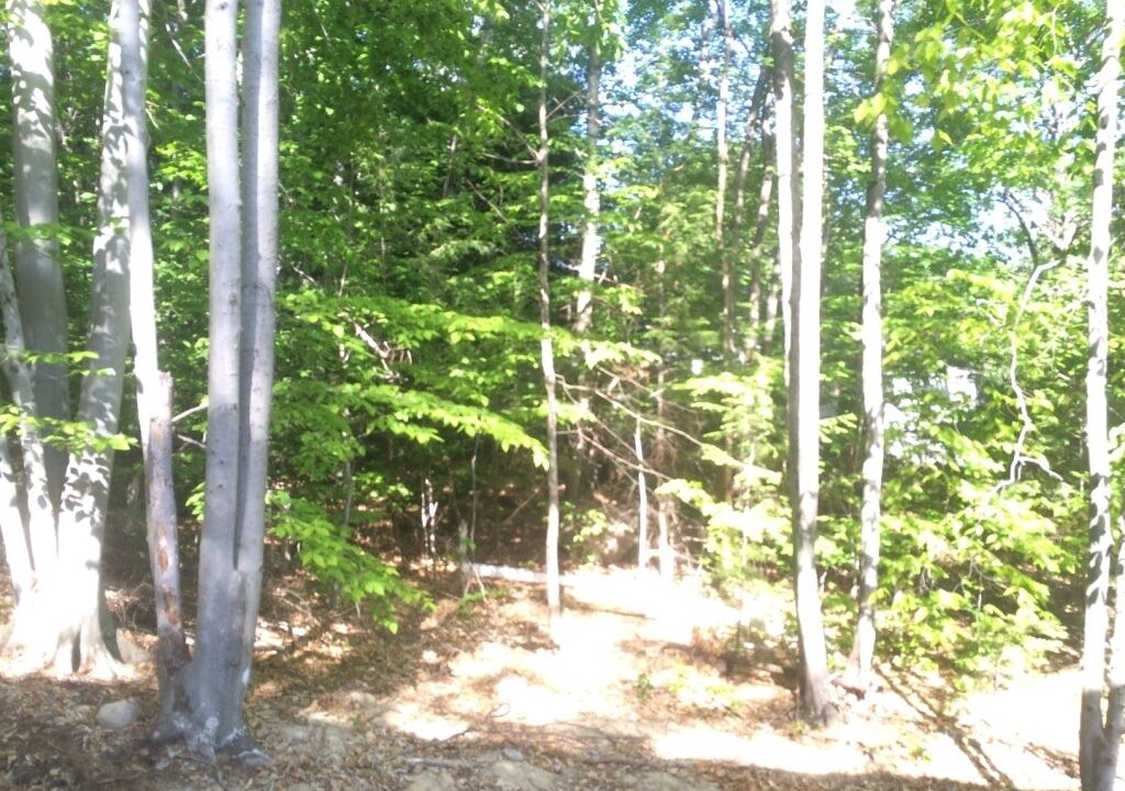 Photo of Outdoor in North Conway