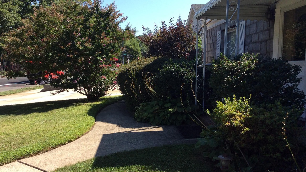 Photo of Others in Holliswood