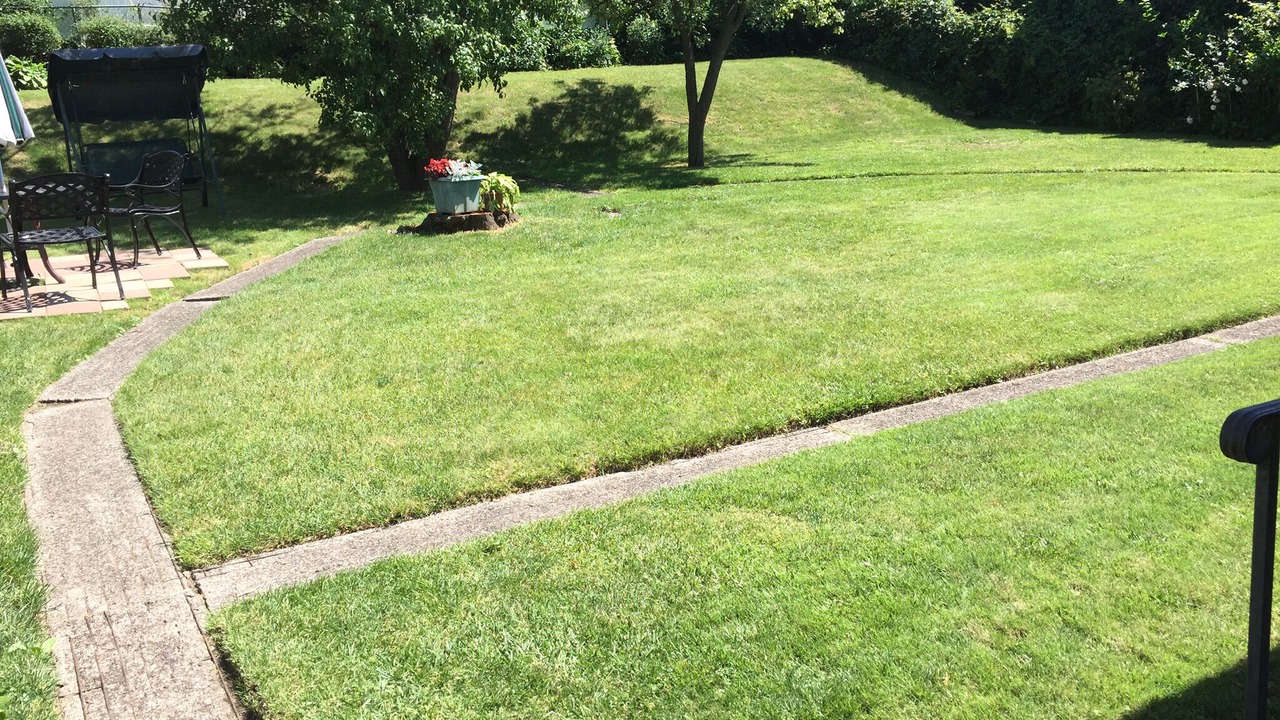 Photo of Others in Holliswood