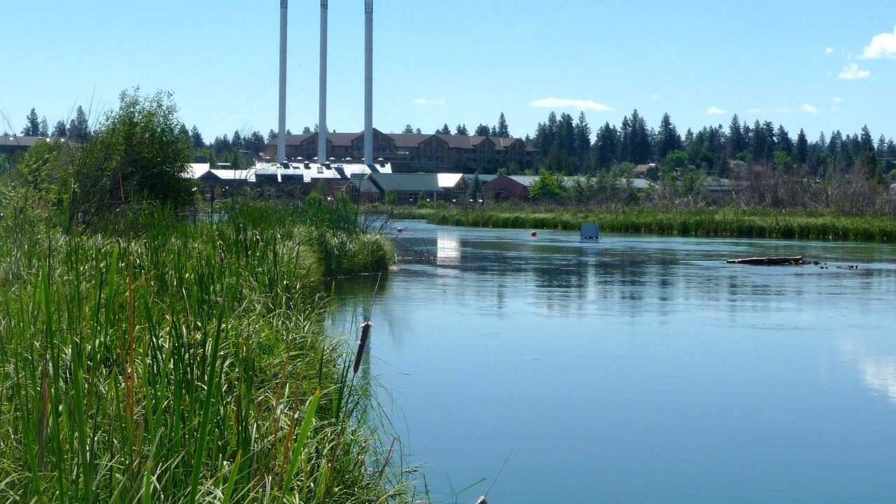 Photo of Others in Old Bend