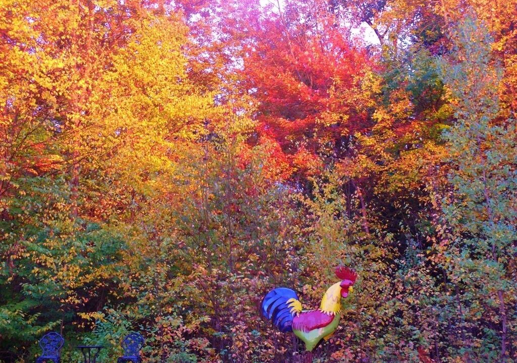 Photo of Others in Susquehanna