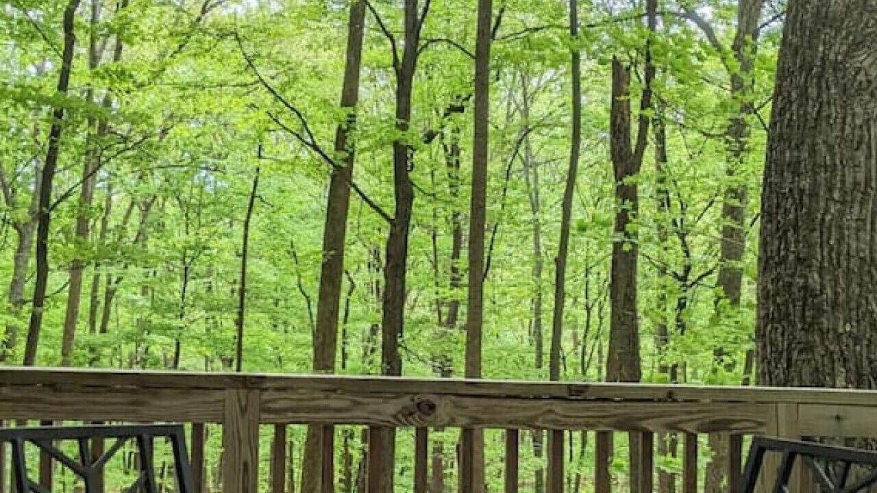 Photo of Others in Berkeley Springs