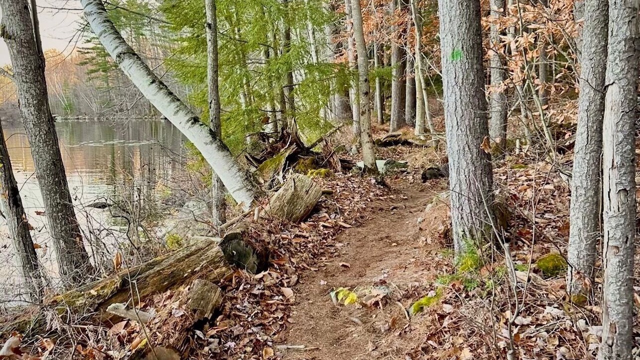 Photo of Others in Moultonborough