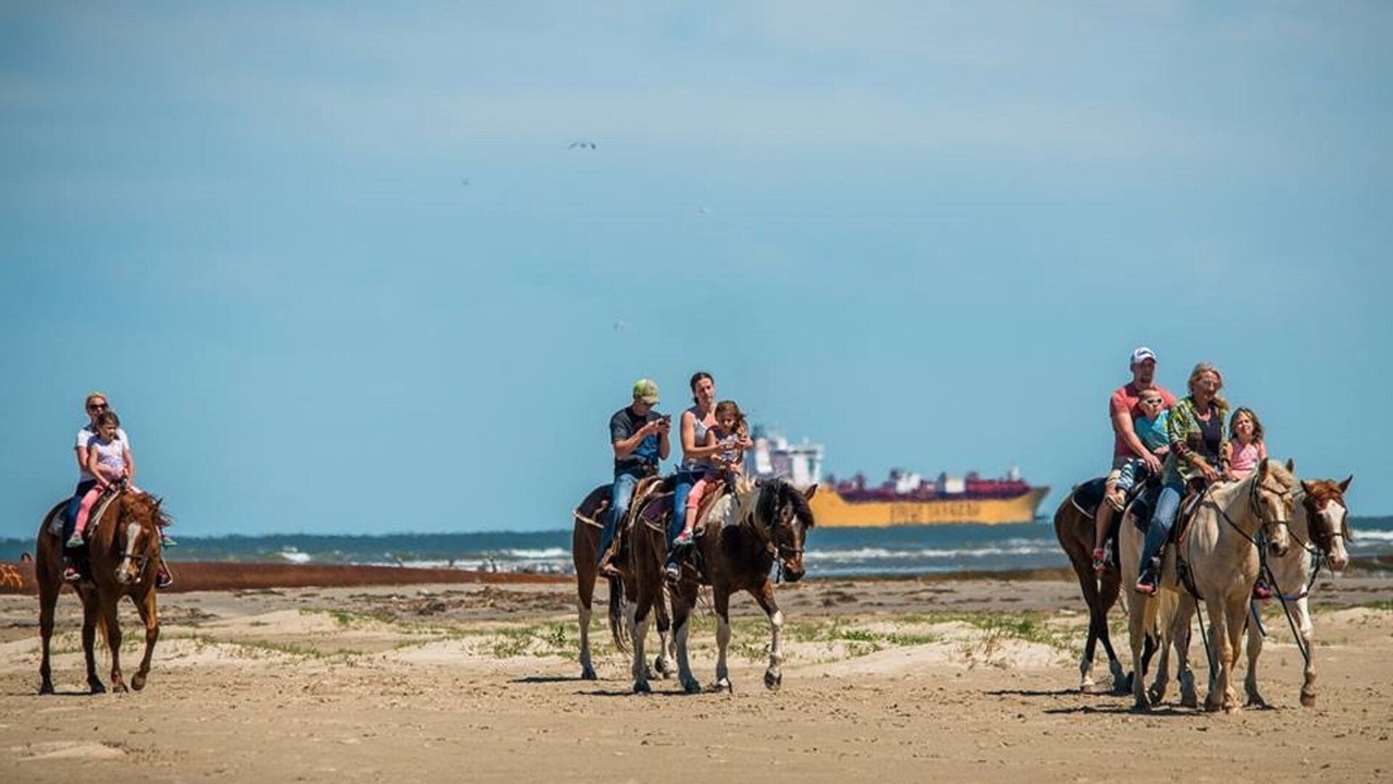 Photo of Others in Jamaica Beach