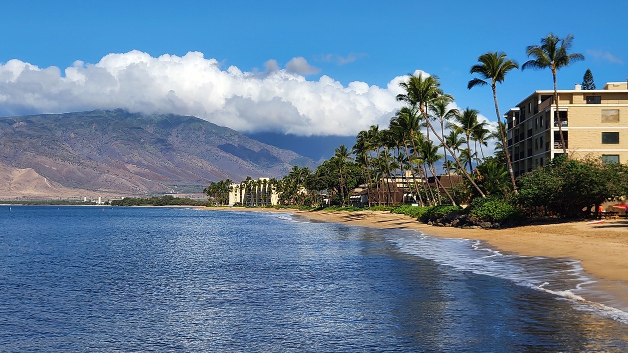Photo of Others in Kihei