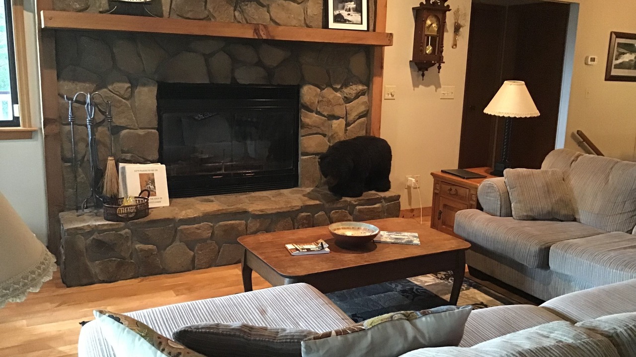 Photo of Livingroom in Franklin