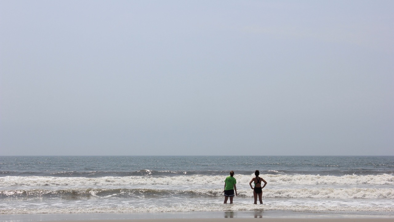 Photo of Others in Gold Coast
