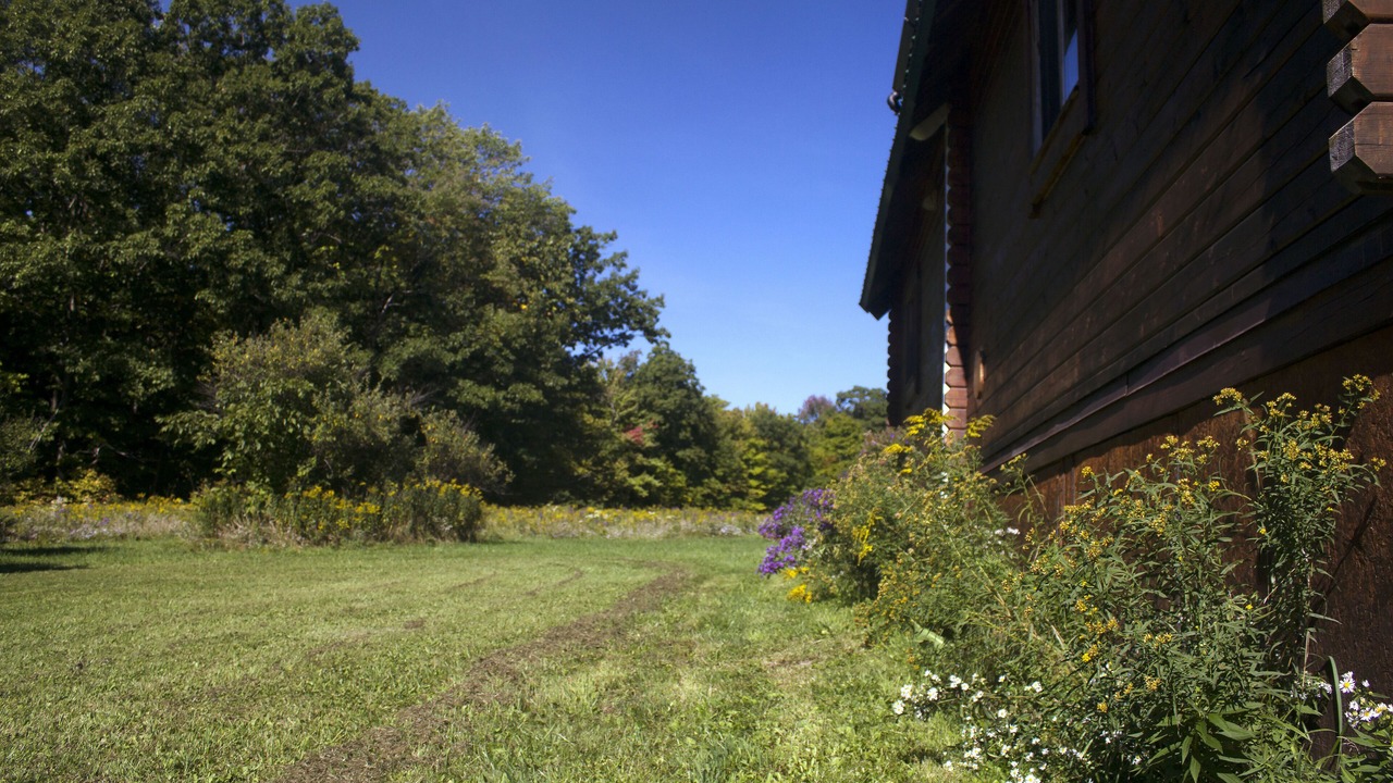 Photo of Outdoor in Dryden